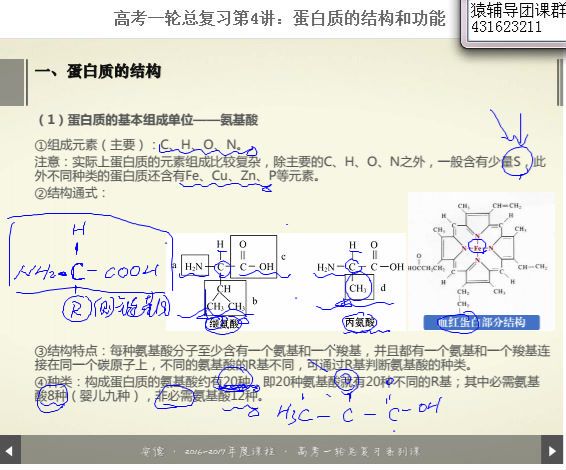 2018 猿辅导李安得生物百度云(6.24G)