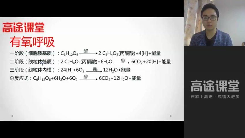 高途【生物】2019高途高一生物(全年)(11.14G) 百度云网盘