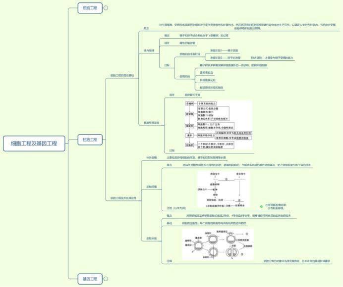 2023高三作业帮生物邓康尧生物福利资料(24.99M) 百度云网盘