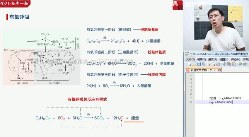 2021高三生物张鹏暑假班(17.61G) 百度云网盘