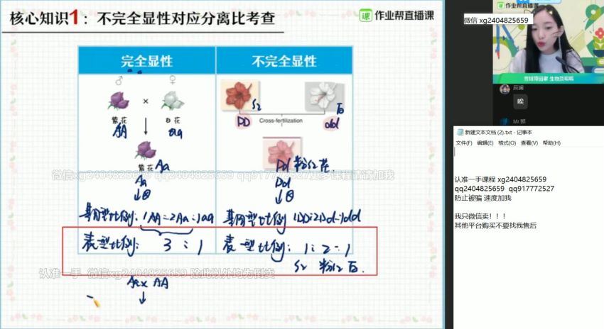 杨雪2021高一生物春季尖端 (37.66G) 百度云网盘