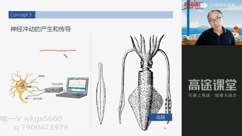 2022高途高二生物张继光暑假班(2.97G) 百度云网盘