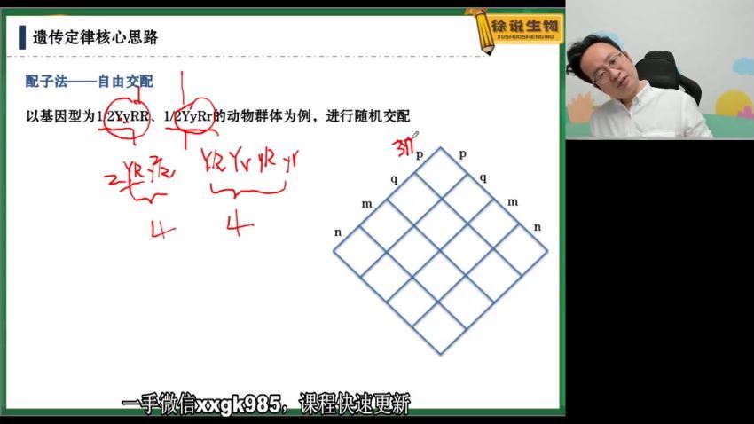 2022高三高途生物徐京春季班（新高考）(1.28G) 百度云网盘