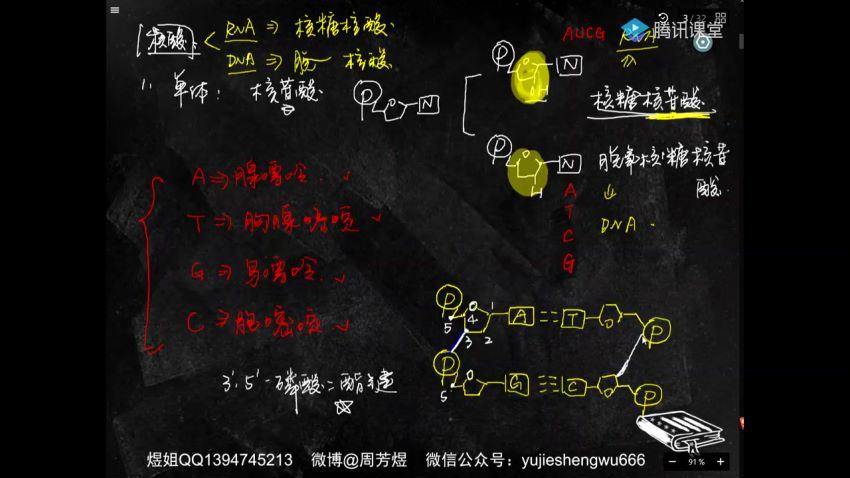 2019周芳煜一轮【生物】(33.13G) 百度云网盘