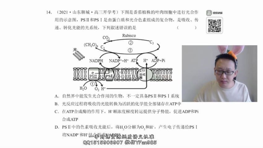 2022有道高三生物陈旭晨一轮秋季班(4.88G) 百度云网盘