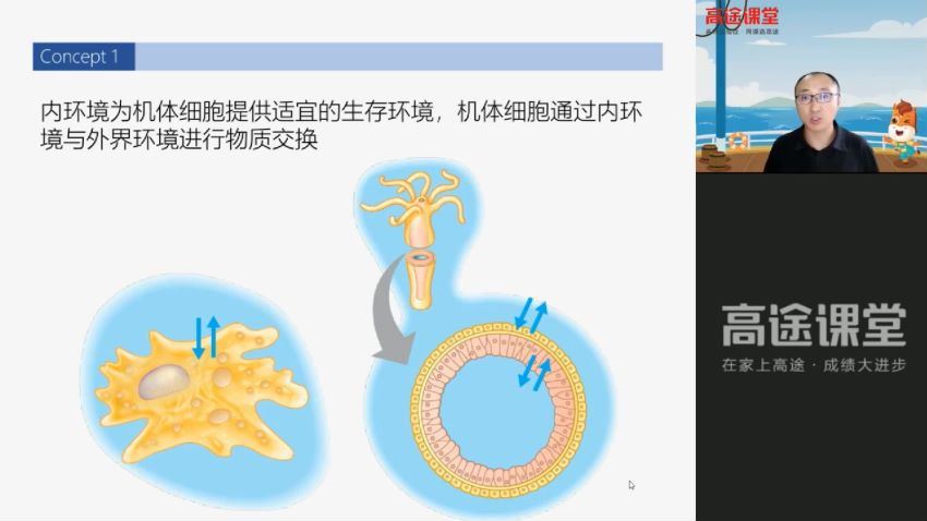 【2021暑】高二生物张继光暑假班【完结】 百度云网盘