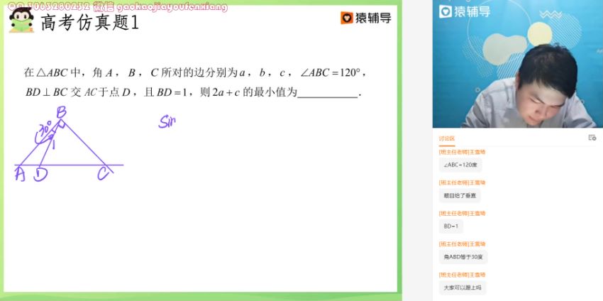 2020猿辅导王晶高三数学春季班百度云(12.29G)
