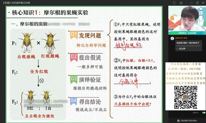 2023高三作业帮生物邓康尧一轮秋季班（a+)(9.39G) 百度云网盘