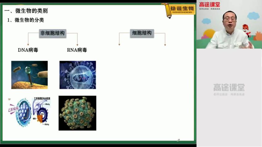 2021高二生物徐京寒假班 百度云网盘(2.36G)