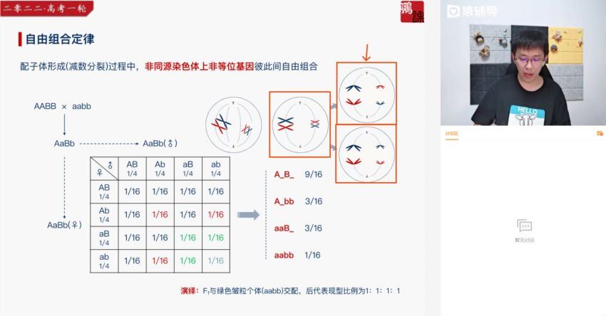 2022猿辅导高三生物张鹏A+班一轮秋季班（A+）(29.03G) 百度云网盘