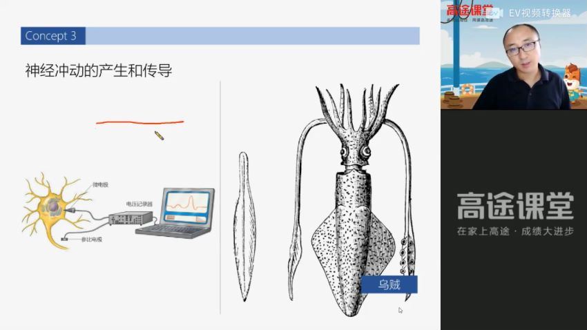 【2021暑】高二生物张继光暑假班 百度云网盘