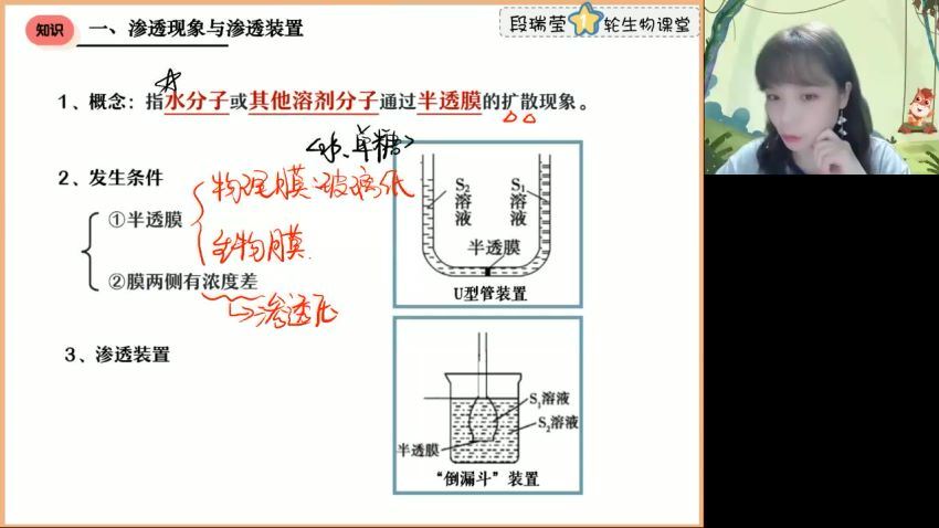 2023高三高途生物段瑞莹（箐英班）一轮暑假班(3.00G) 百度云网盘