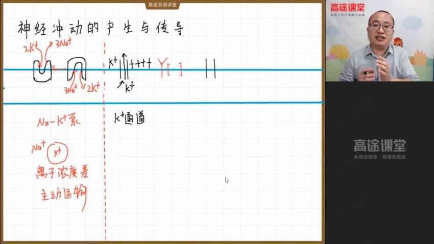 2021高二生物徐京暑假班 百度云网盘(3.82G)