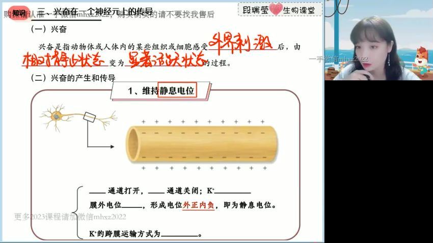 2023高二高途生物段瑞莹暑假班(1.85G) 百度云网盘