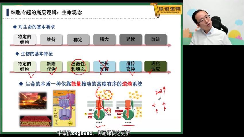 2022高三高途生物徐京点睛班(2.13G) 百度云网盘