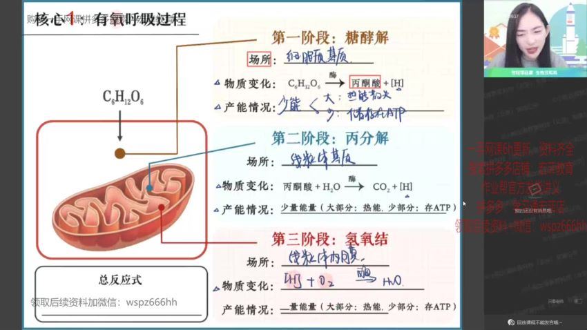 2022作业帮高二生物杨雪寒假班（尖端）(5.71G) 百度云网盘