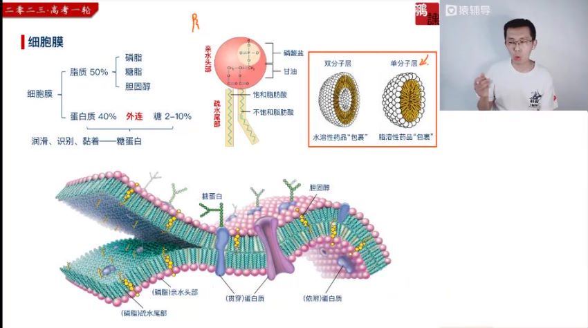 2023高三猿辅导生物张鹏一轮暑假班(8.76G) 百度云网盘