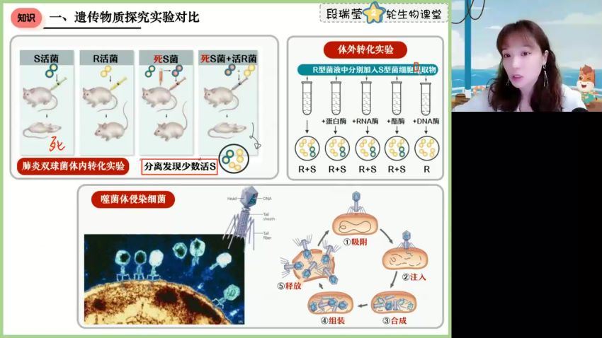 2023高三高途生物段瑞莹（箐英班）二轮春季班(646.74M) 百度云网盘