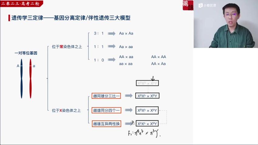 2023高三猿辅导生物张鹏二轮春季班(1.05G) 百度云网盘