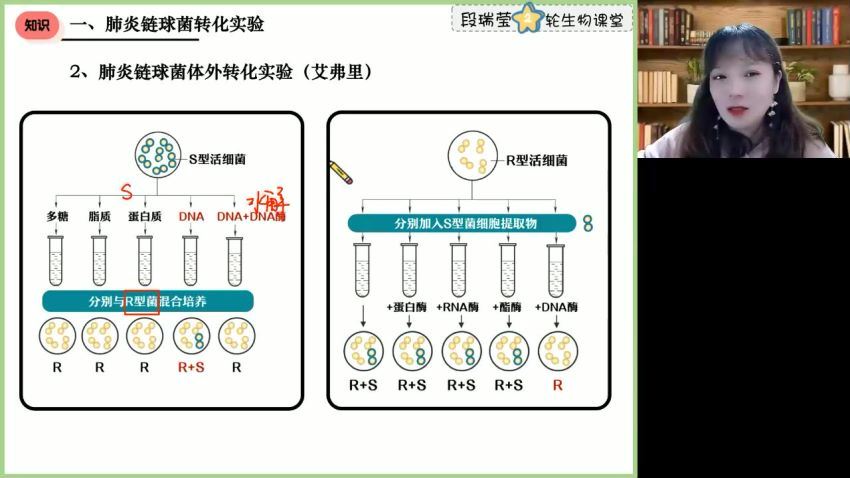 2023高三高途生物段瑞莹（箐英班）二轮寒假班(3.22G) 百度云网盘