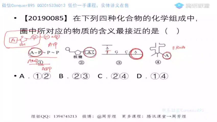 2022腾讯课堂高三生物周芳煜二轮(21.21G) 百度云网盘