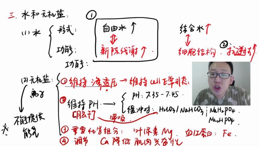 2022有道高三生物陈旭晨一轮暑假班(4.53G) 百度云网盘