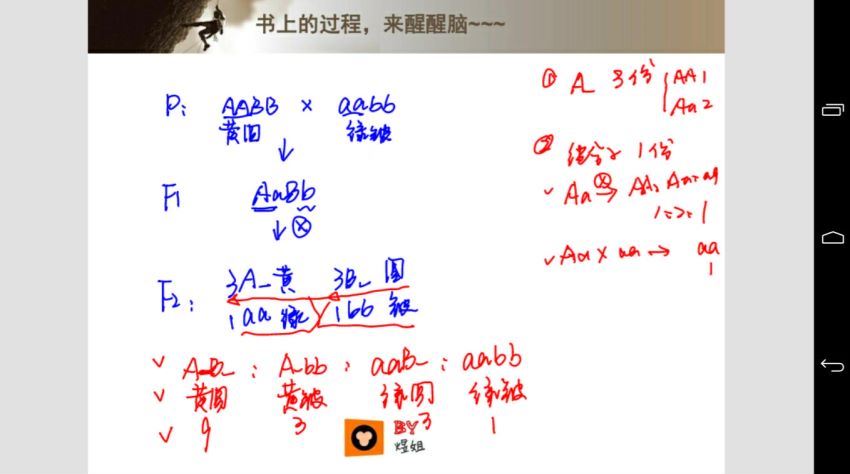 生物（猿辅导）2017煜姐手把手教你满分遗传 10讲全(1.11G) 百度云网盘