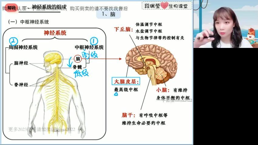 2023高二高途生物段瑞莹暑假班(1.85G) 百度云网盘