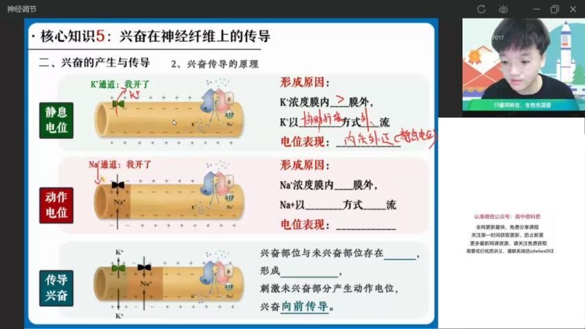 2022作业帮高二生物杨雪生物续报资料(837.26M) 百度云网盘