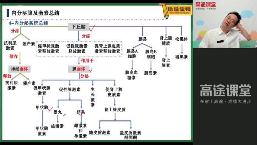 2022高三高途生物徐京秋季班（全国卷）(4.33G) 百度云网盘