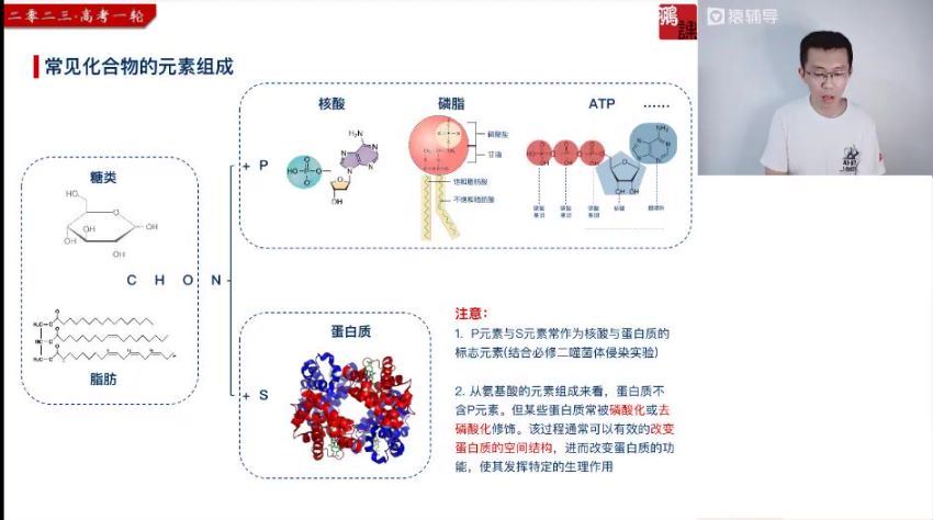 2023高三猿辅导生物张鹏一轮暑假班(8.76G) 百度云网盘